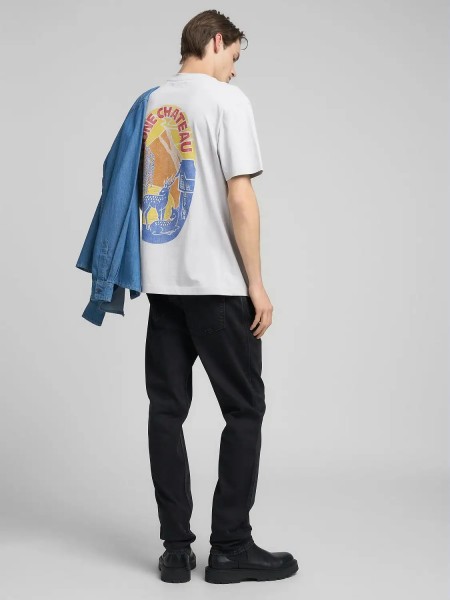 REPLAY T-shirt M3280.000.23608P.396 Light grey REPLAY - 4